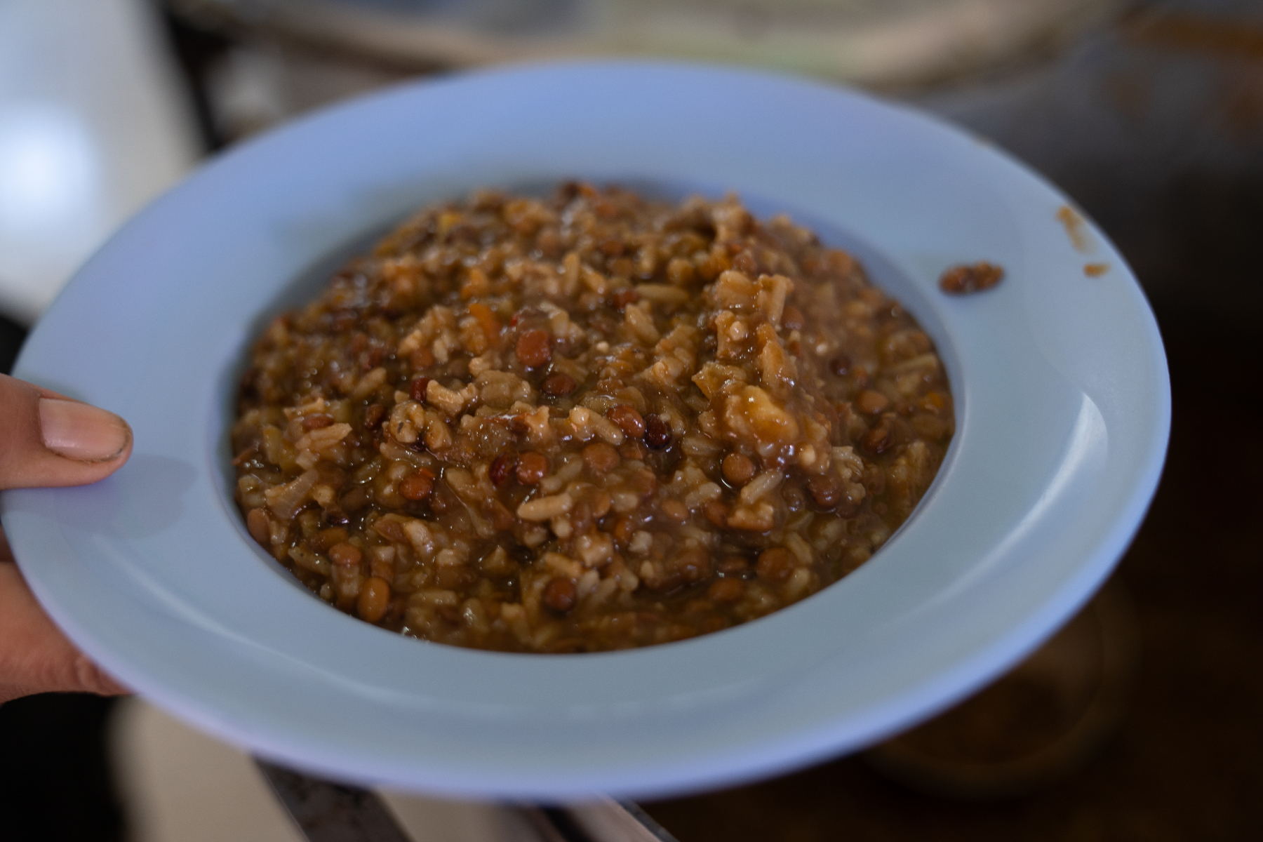 Plato con guiso de lentejas que contiene un alto nivel nutricional sobre todo en legumbres.