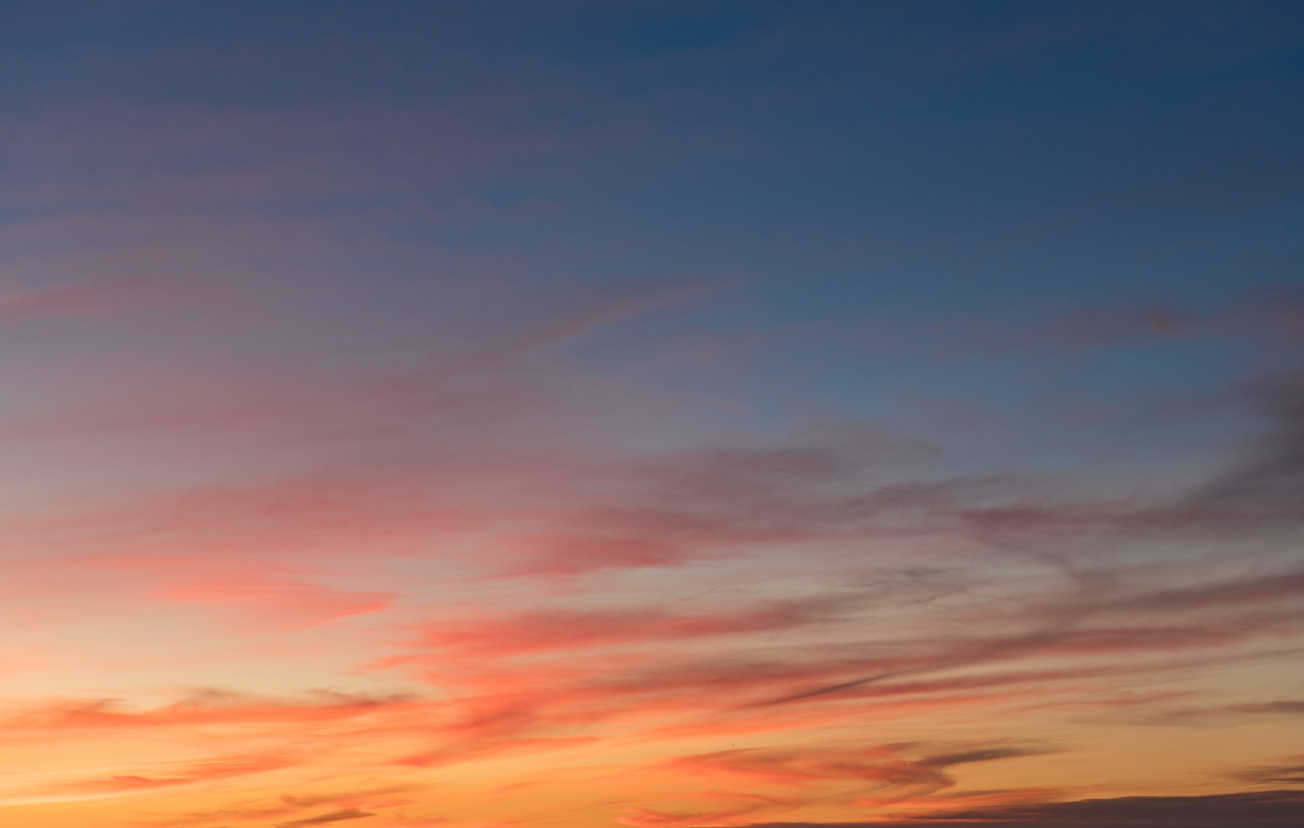 Luisa María Ahumada lanza su nueva novela “Melodía del atardecer” una exploración sobre el paso del tiempo, la ciencia, el arte y la profundidad de los vínculos humanos